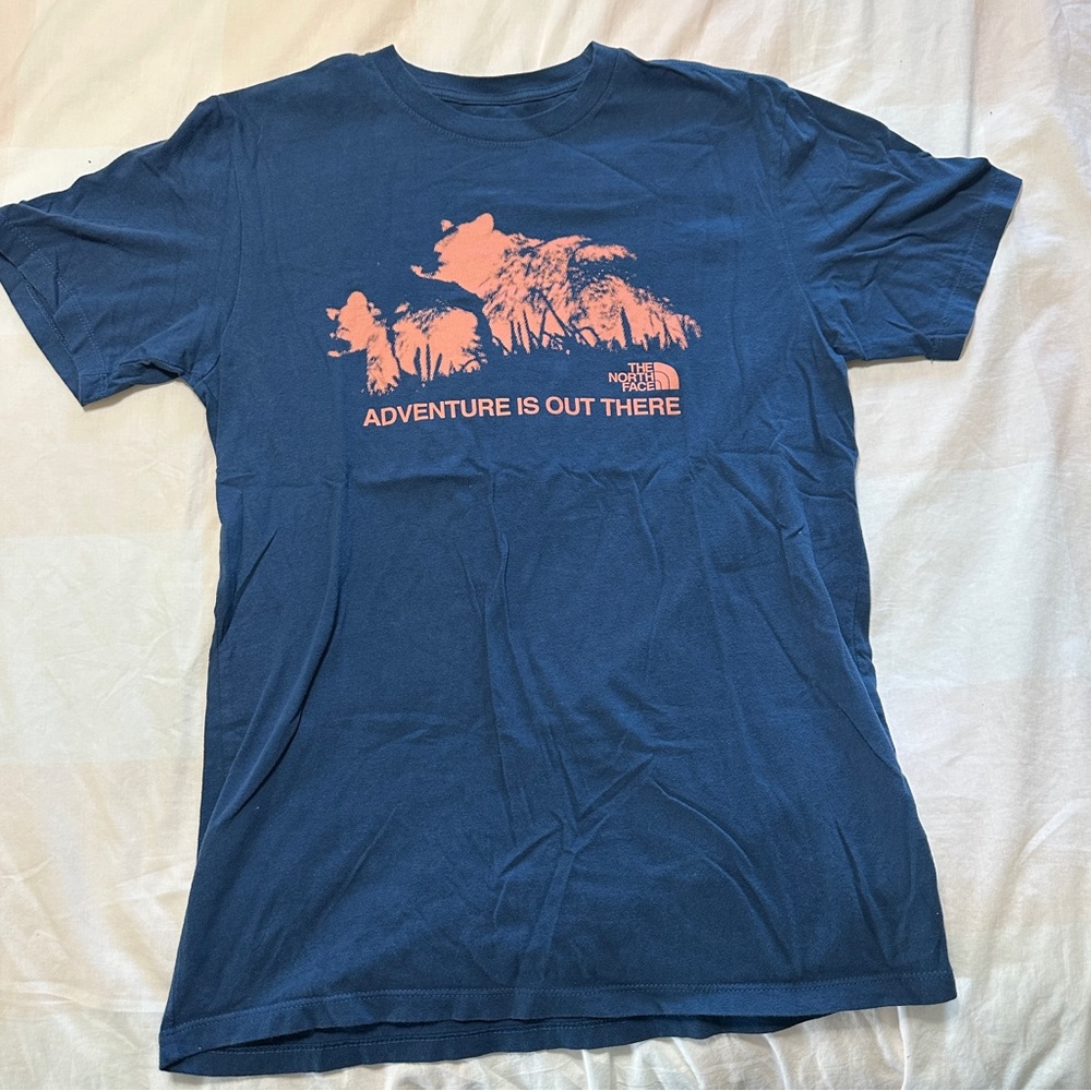 The North Face Small Graphic Tee